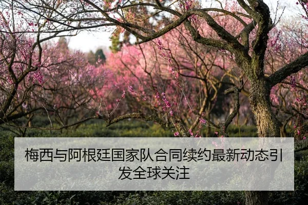 梅西与阿根廷国家队合同续约最新动态引发全球关注