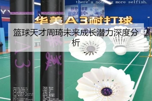 篮球天才周琦未来成长潜力深度分析